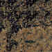 balticbrown.jpg (30535 bytes)